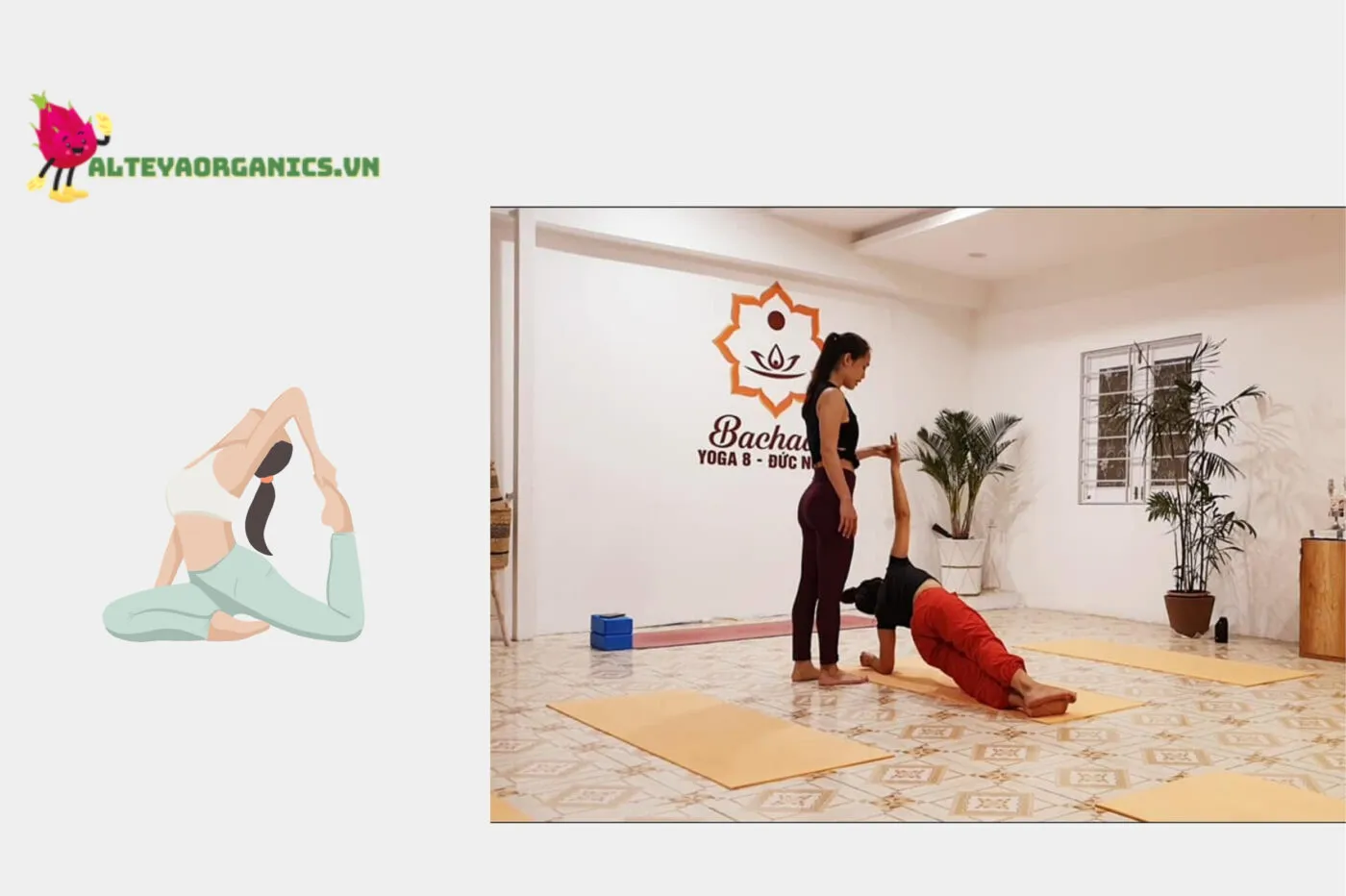 Bachada Phan Thiết Yoga