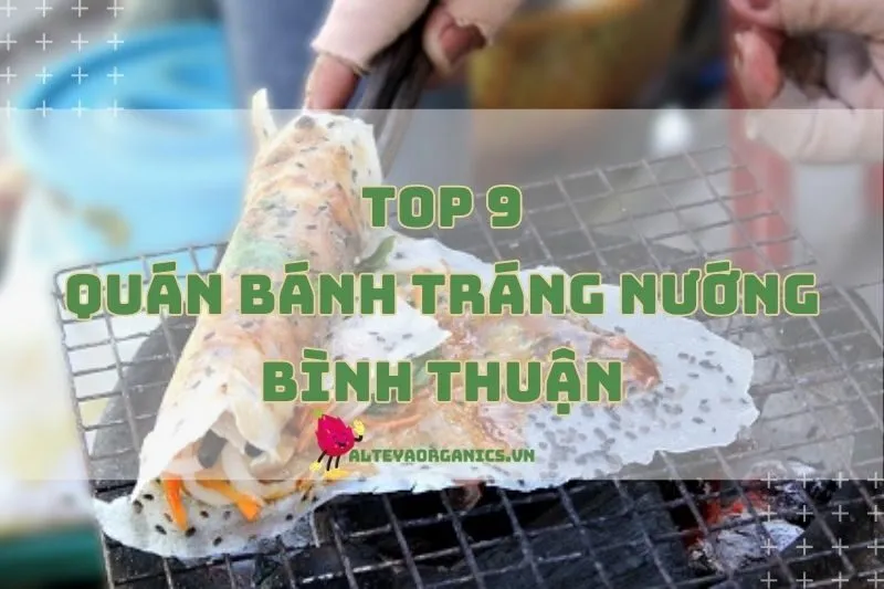 Bánh Tráng Nướng Bình Thuận: Món Ngon Không Thể Bỏ Lỡ 2024