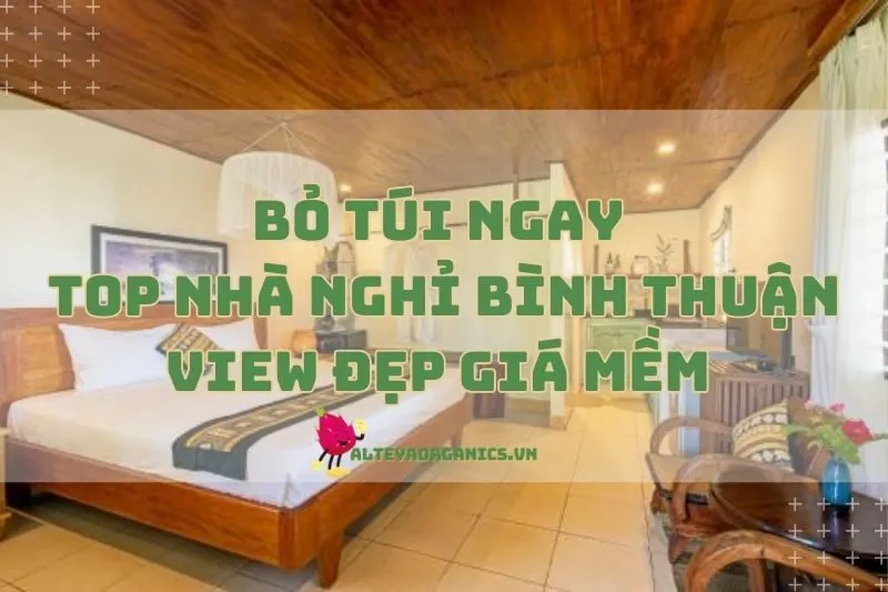 Bỏ Túi Ngay Top Nhà Nghỉ Bình Thuận View Đẹp Giá Mềm 2024