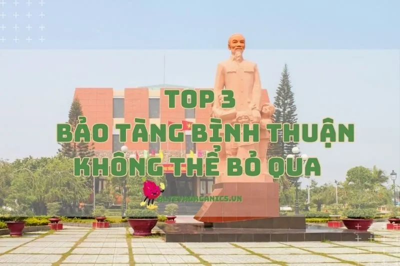 Các bảo tàng Bình Thuận không thể bỏ qua khi đi du lịch 2024