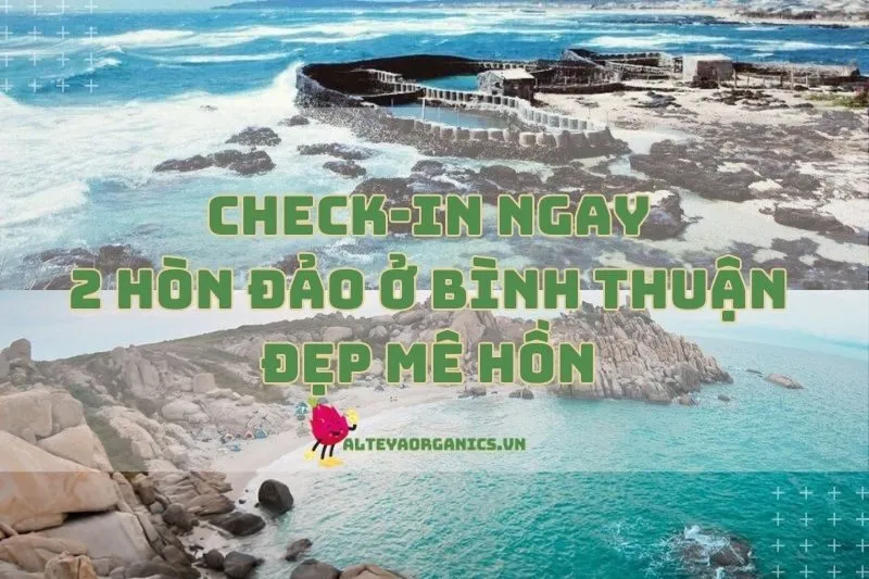 Check-in ngay 2 hòn đảo ở Bình Thuận đẹp mê hồn 2024