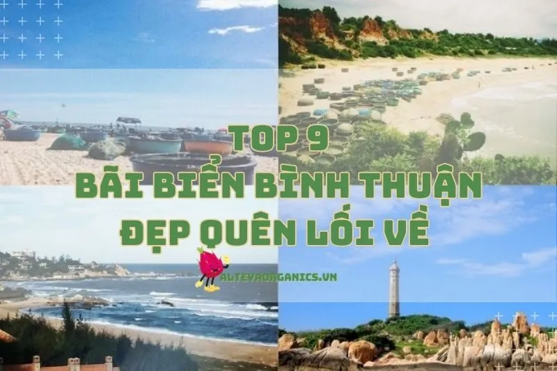 Check in Ngay Với 9 Bãi Biển Bình Thuận Đẹp Quên Lối Về 2024