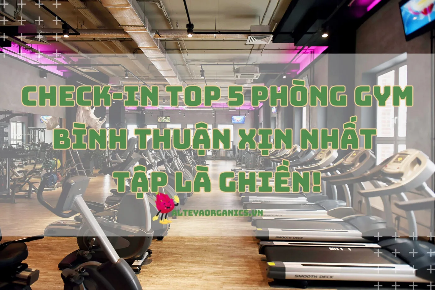 Check-in top 5 phòng gym Bình Thuận xịn nhất 2024, tập là ghiền!