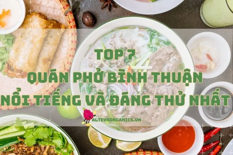 Đánh giá các quán phở Bình Thuận nổi tiếng và đáng thử nhất 2024