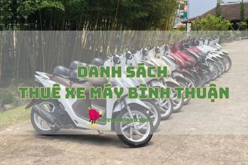 Danh sách Thuê Xe Máy Bình Thuận 2024: Lựa Chọn Uy Tín Cho Team Phượt