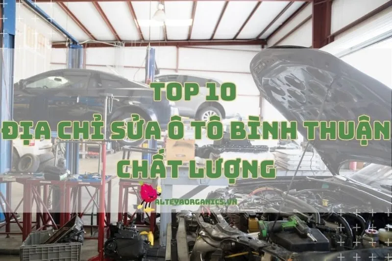 Địa Chỉ Sửa Ô Tô Bình Thuận Chất Lượng, Dịch Vụ Tận Tâm 2024