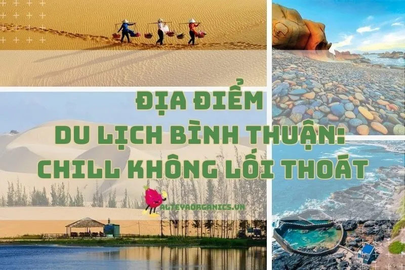 Địa điểm du lịch Bình Thuận siêu đẹp, chill không lối thoát 2024