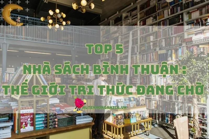 Ghé Ngay Nhà Sách Bình Thuận 2024: Thế Giới Tri Thức Đang Chờ Bạn