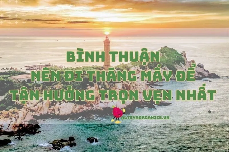 Góc tư vấn: Bình Thuận nên đi tháng mấy để tận hưởng trọn vẹn nhất 2024