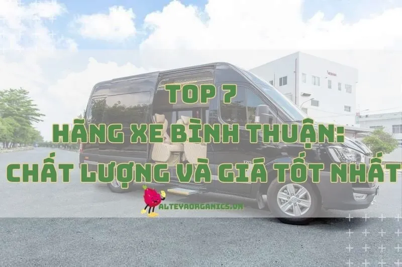 Hãng Xe Bình Thuận: Top Lựa Chọn Chất Lượng Và Giá Tốt Nhất 2024