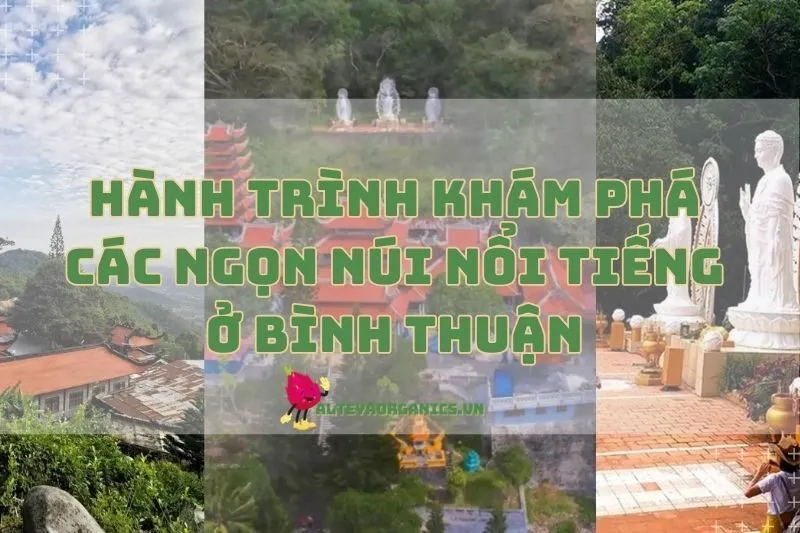 Hành trình khám phá các ngọn núi nổi tiếng ở Bình Thuận 2024