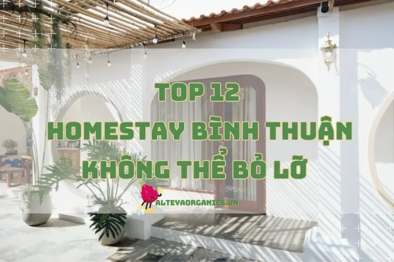 Khám Phá Các Homestay Bình Thuận Không Thể Bỏ Lỡ Cho Kỳ Nghỉ 2024