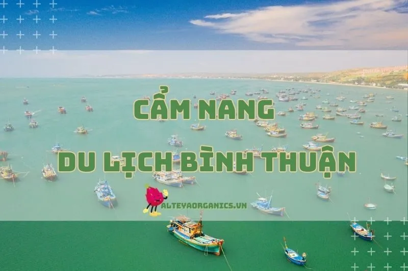 Khám phá cẩm nang du lịch Bình Thuận 2024: Đi đâu, ăn gì, chơi gì?