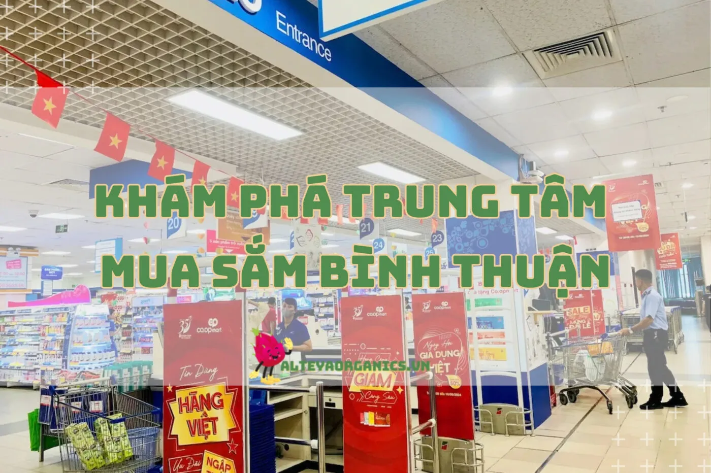 Khám phá Trung tâm mua sắm Bình Thuận 2024