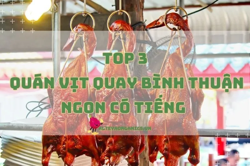 Review Quán Vịt Quay Bình Thuận Ngon Có Tiếng 2024