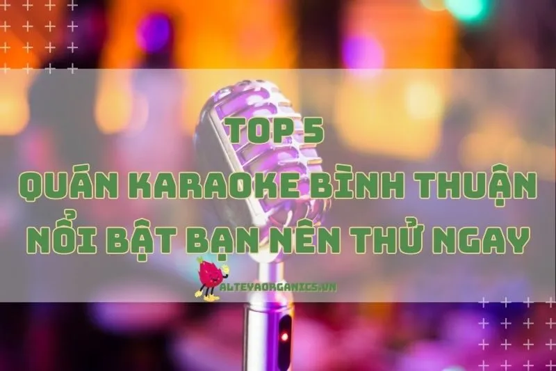 Review top 5 quán karaoke Bình Thuận nổi bật bạn nên thử ngay