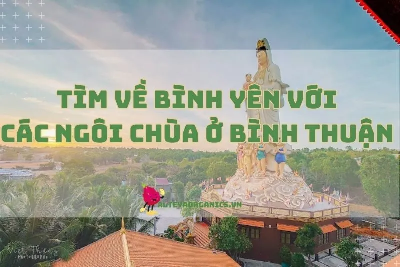 Tìm Về Bình Yên Với 9 Ngôi Chùa Ở Bình Thuận 2024