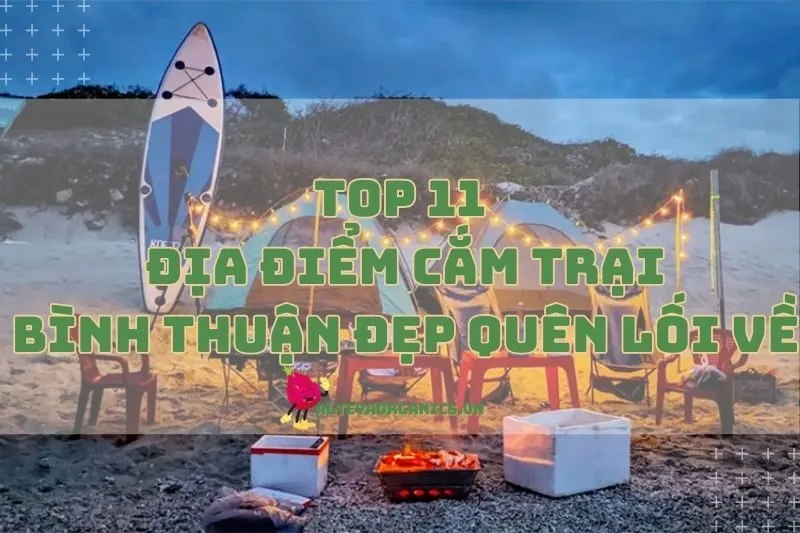 Top 11 Địa Điểm Cắm Trại Bình Thuận Đẹp Quên Lối Về 2024