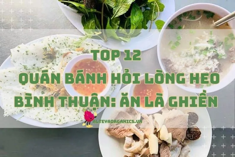 Top 12 quán bánh hỏi lòng heo Bình Thuận 2024: Ăn là ghiền luôn!