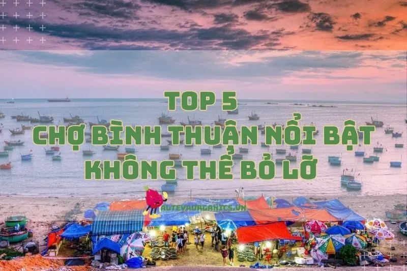 Top 5 Chợ Bình Thuận Nổi Bật Không Thể Bỏ Lỡ 2024