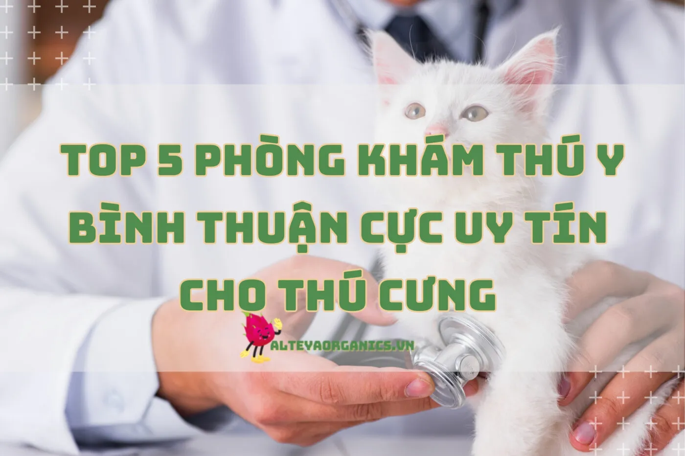 Top 5 phòng khám thú y Bình Thuận cực uy tín cho thú cưng 2024