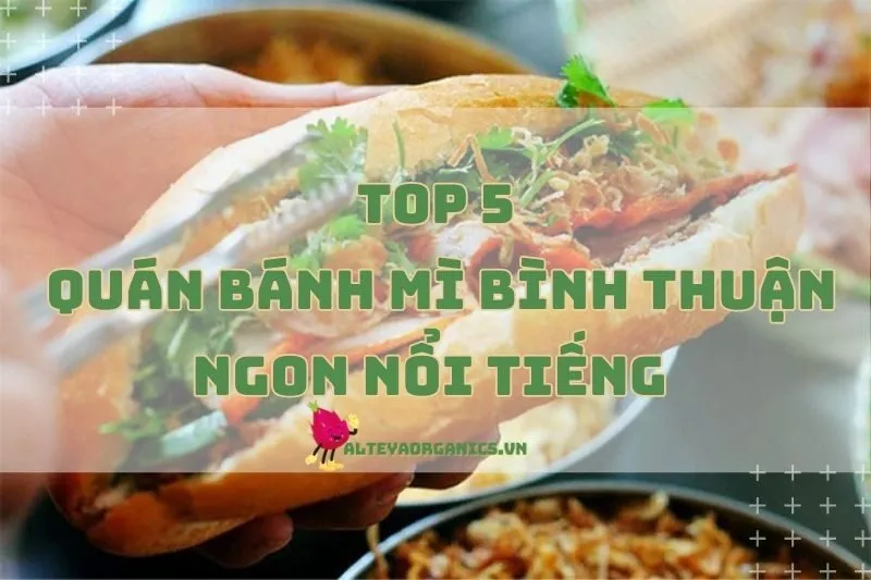 Top 5 Quán Bánh Mì Bình Thuận Ngon Nổi Tiếng 2024