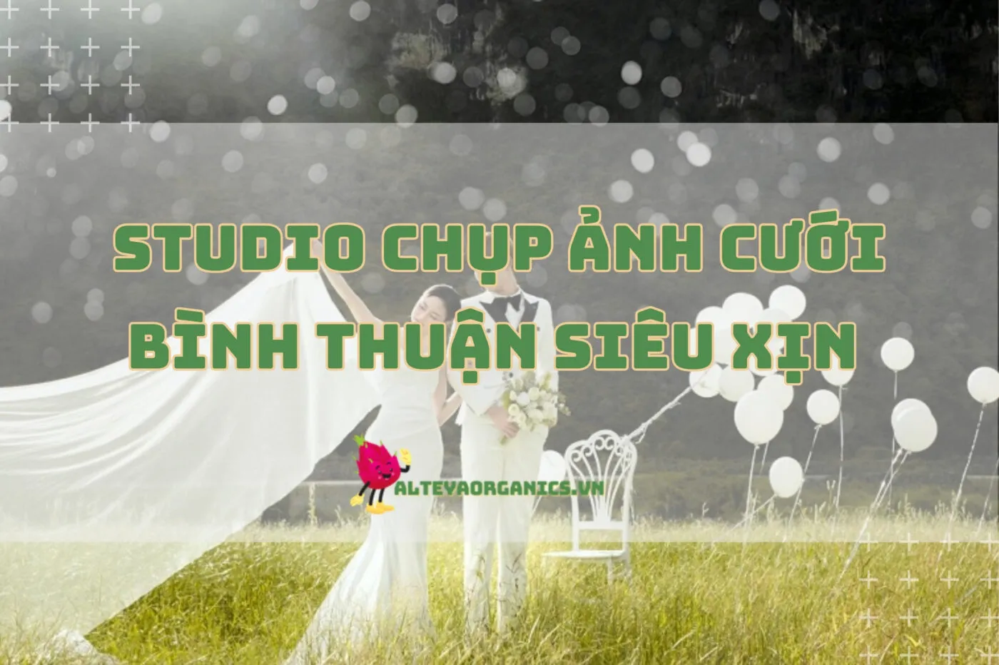 Top 7 Studio Chụp Ảnh Cưới Bình Thuận 2024 Siêu Xịn