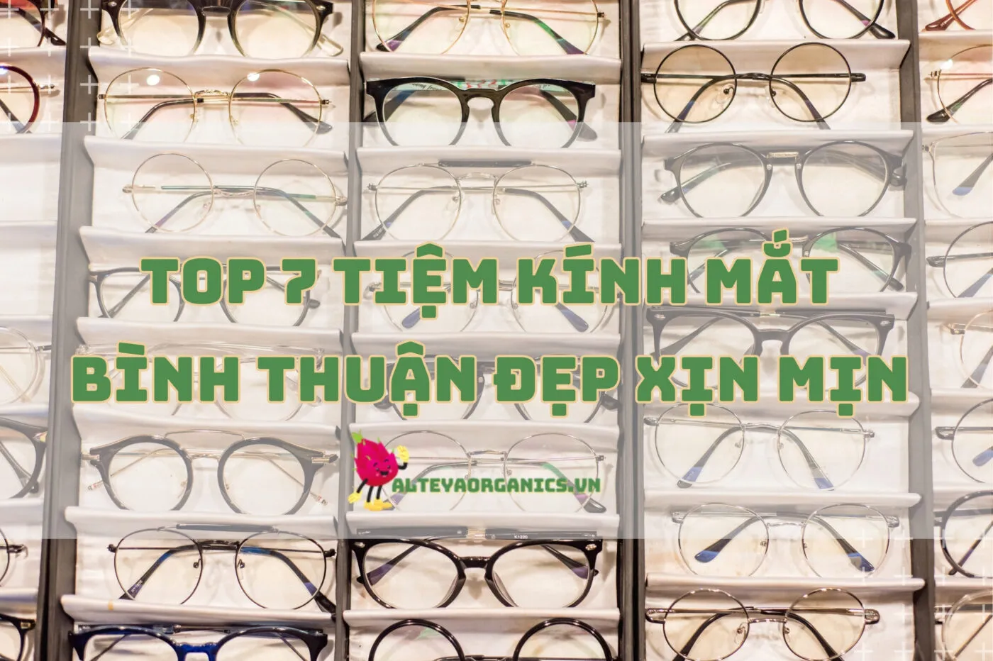 Top 7 Tiệm Kính Mắt Bình Thuận Đẹp Xịn Mịn 2024