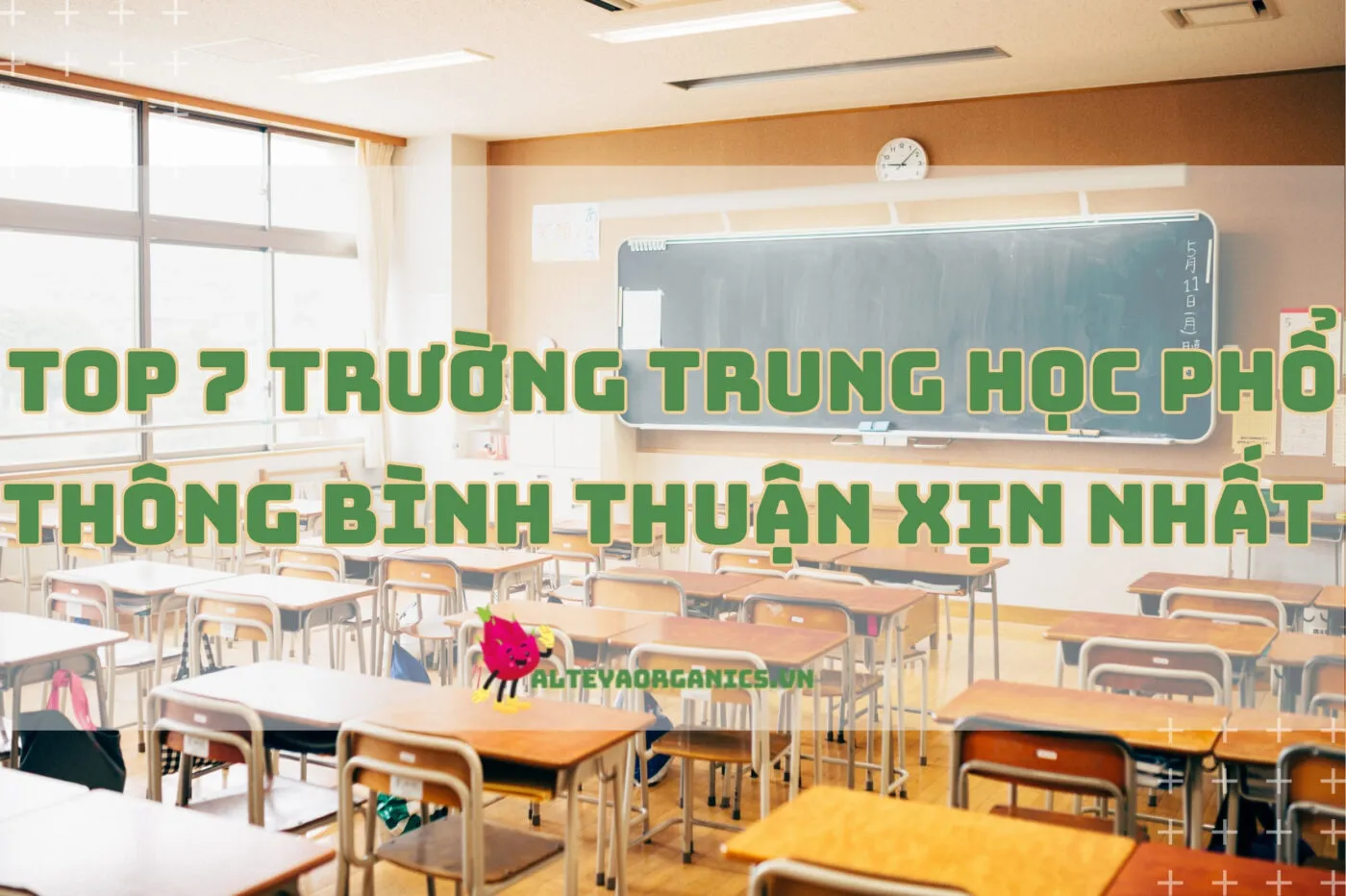 Top 7 Trường Trung học phổ thông Bình Thuận xịn nhất 2024