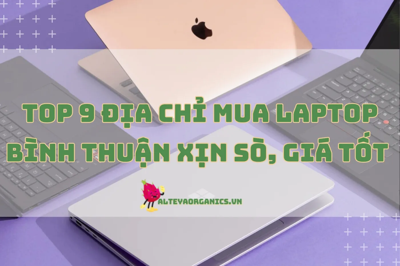 Top 9 Địa Chỉ Mua Laptop Bình Thuận Xịn Sò, Giá Tốt Nhất 2024