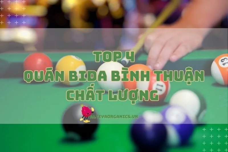 Top quán bida Bình Thuận chất lượng bạn không nên bỏ lỡ 2024