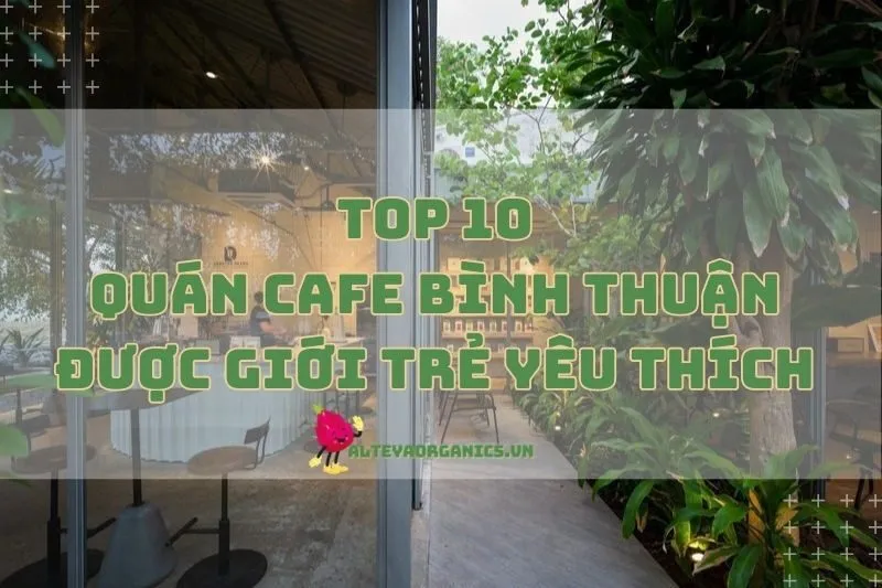 Top quán cafe Bình Thuận được giới trẻ yêu thích 2024