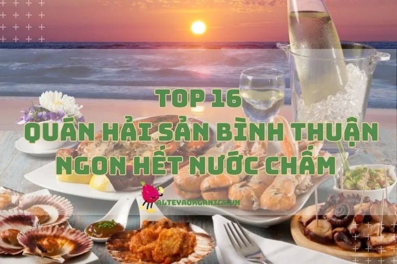 Top Quán Hải Sản Bình Thuận Ngon Hết Nước Chấm Bạn Phải Thử 2024