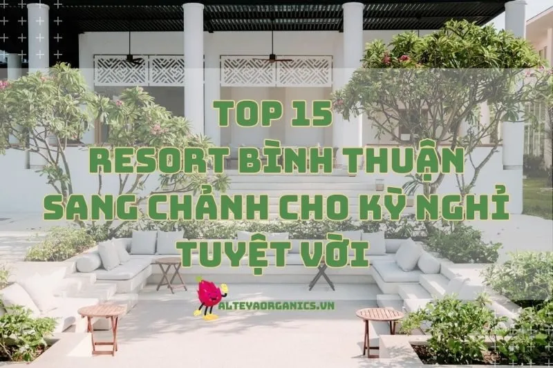 Top Resort Bình Thuận Sang Chảnh Cho Kỳ Nghỉ Tuyệt Vời 2024