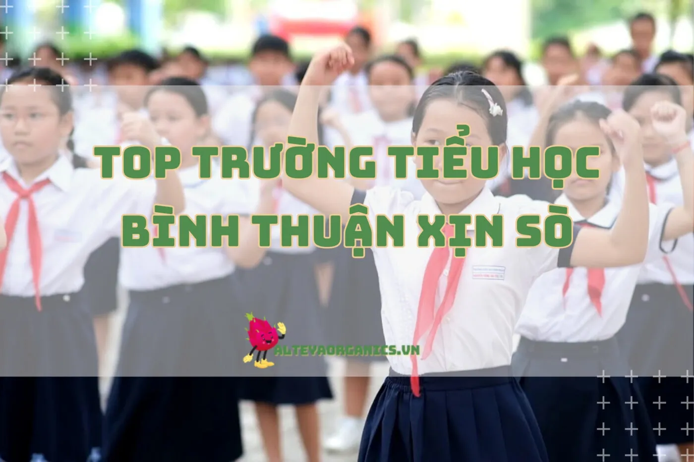 Top Trường Tiểu Học Bình Thuận Xịn Sò 2024