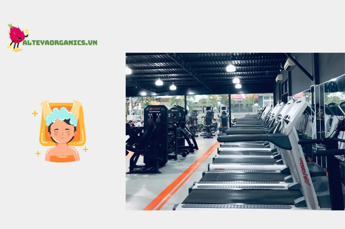 Trải nhiệm top phòng gym Bình Thuận chất lừ